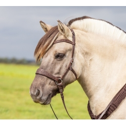 Edix ED2 Rose Sidepull Bridle